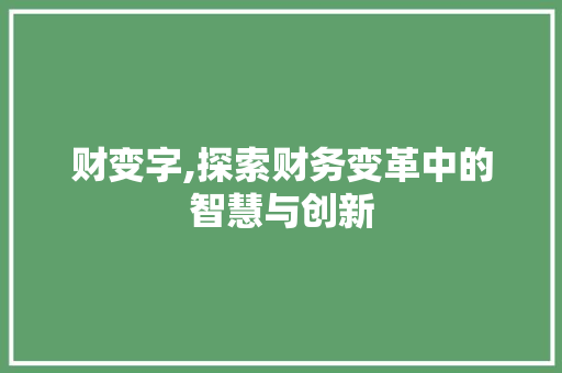 财变字,探索财务变革中的智慧与创新