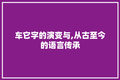 车它字的演变与,从古至今的语言传承