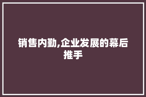 销售内勤,企业发展的幕后推手