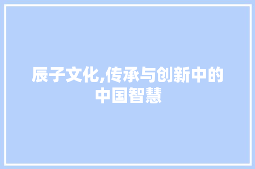 辰子文化,传承与创新中的中国智慧
