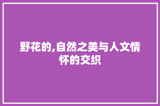 野花的,自然之美与人文情怀的交织