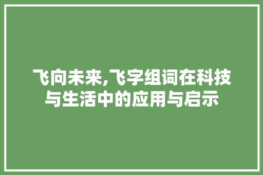飞向未来,飞字组词在科技与生活中的应用与启示