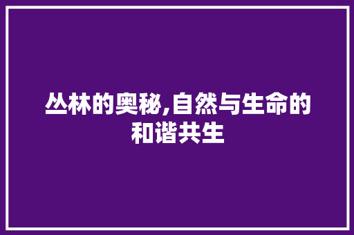 丛林的奥秘,自然与生命的和谐共生