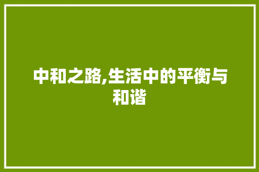 中和之路,生活中的平衡与和谐