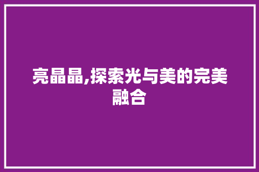 亮晶晶,探索光与美的完美融合