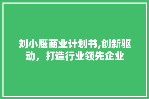刘小鹰商业计划书,创新驱动，打造行业领先企业