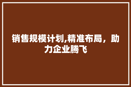 销售规模计划,精准布局，助力企业腾飞