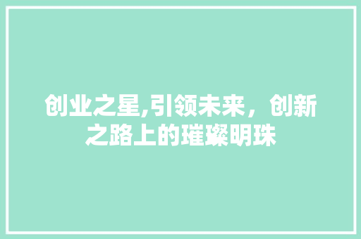 创业之星,引领未来，创新之路上的璀璨明珠