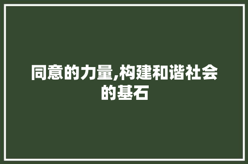 同意的力量,构建和谐社会的基石