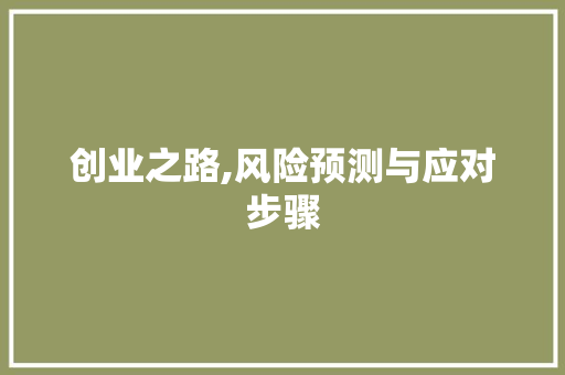 创业之路,风险预测与应对步骤