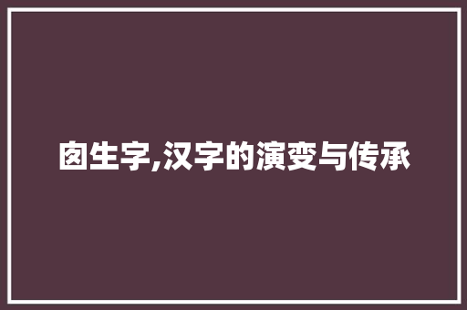 囱生字,汉字的演变与传承