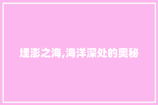 埋澎之海,海洋深处的奥秘
