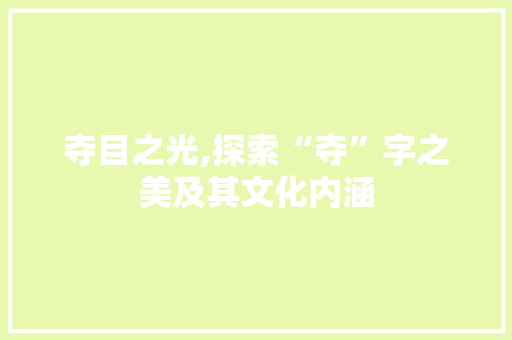 夺目之光,探索“夺”字之美及其文化内涵