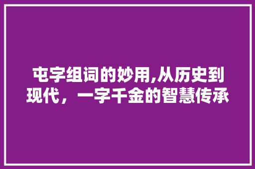 屯字组词的妙用,从历史到现代，一字千金的智慧传承