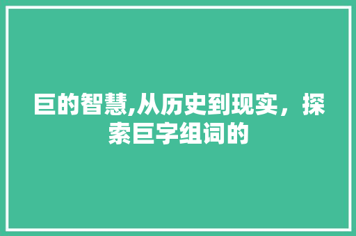 巨的智慧,从历史到现实，探索巨字组词的
