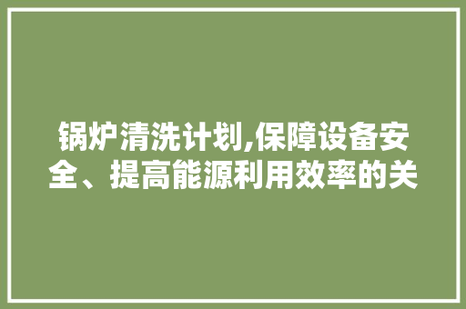 锅炉清洗计划,保障设备安全、提高能源利用效率的关键举措