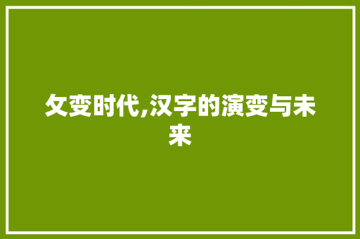 攵变时代,汉字的演变与未来
