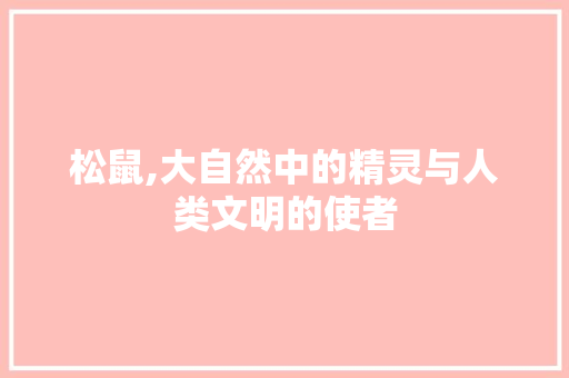 松鼠,大自然中的精灵与人类文明的使者