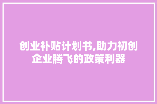 创业补贴计划书,助力初创企业腾飞的政策利器