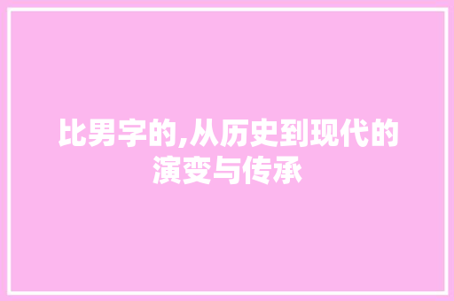 比男字的,从历史到现代的演变与传承