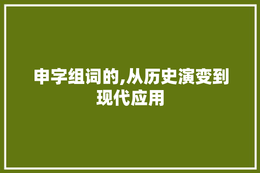 申字组词的,从历史演变到现代应用