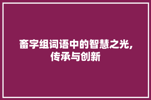 畜字组词语中的智慧之光,传承与创新