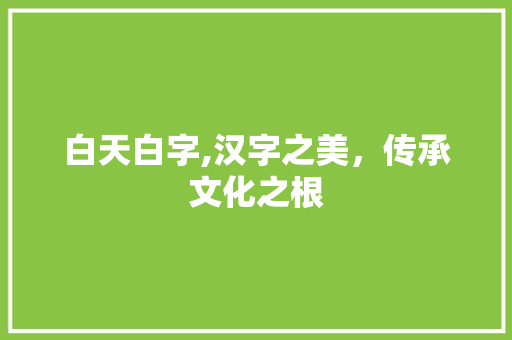 白天白字,汉字之美，传承文化之根