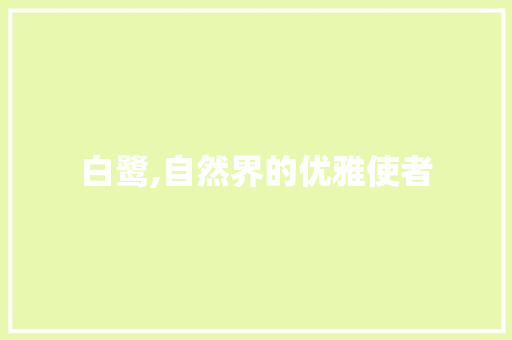 白鹭,自然界的优雅使者