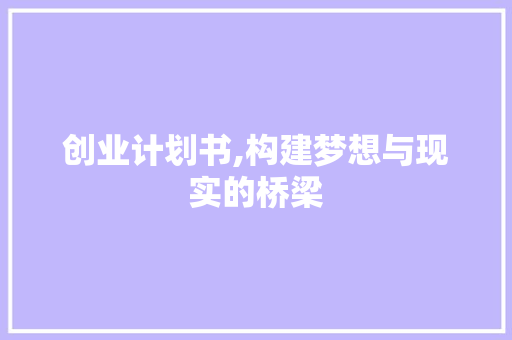 创业计划书,构建梦想与现实的桥梁