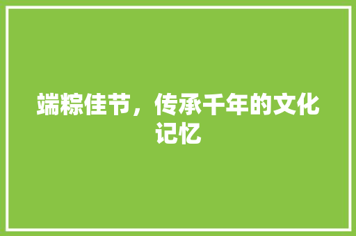 端粽佳节，传承千年的文化记忆