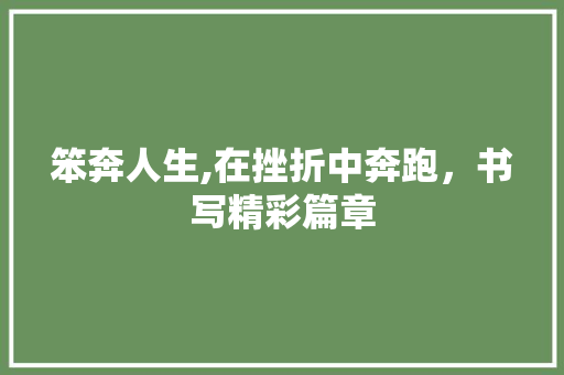 笨奔人生,在挫折中奔跑，书写精彩篇章
