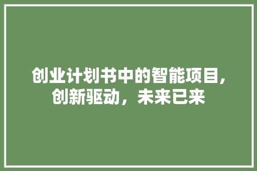 创业计划书中的智能项目,创新驱动，未来已来