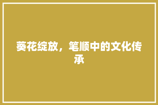 葵花绽放，笔顺中的文化传承
