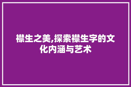 襟生之美,探索襟生字的文化内涵与艺术