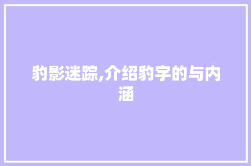 豹影迷踪,介绍豹字的与内涵