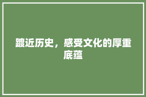 踱近历史，感受文化的厚重底蕴