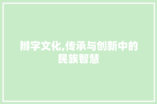 辫字文化,传承与创新中的民族智慧