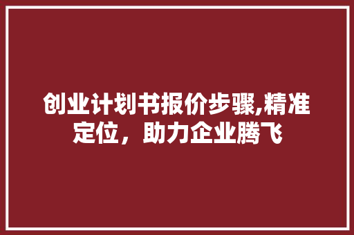 创业计划书报价步骤,精准定位，助力企业腾飞