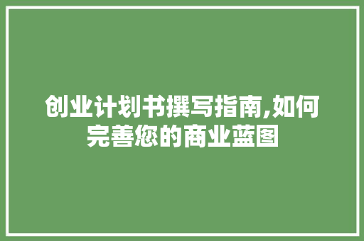 创业计划书撰写指南,如何完善您的商业蓝图