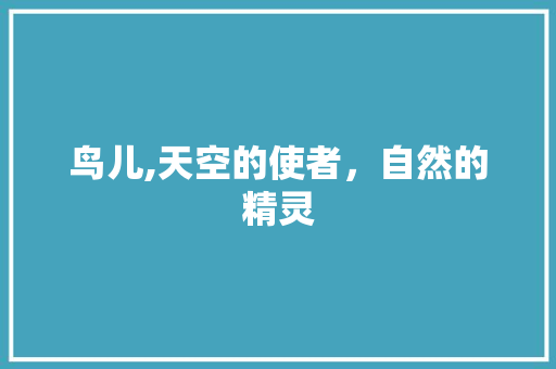 鸟儿,天空的使者，自然的精灵