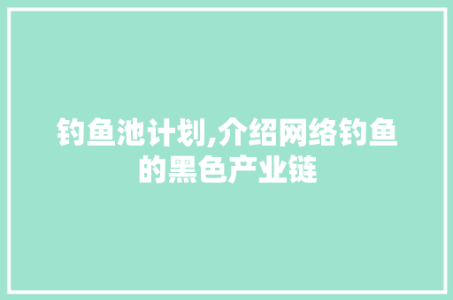 钓鱼池计划,介绍网络钓鱼的黑色产业链
