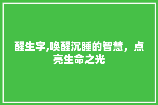 醒生字,唤醒沉睡的智慧，点亮生命之光