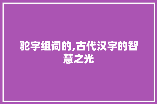 驼字组词的,古代汉字的智慧之光