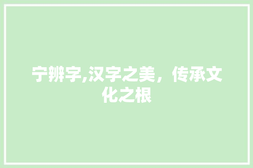 宁辨字,汉字之美，传承文化之根