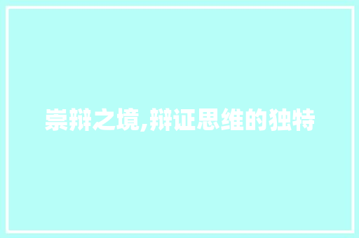 崇辩之境,辩证思维的独特