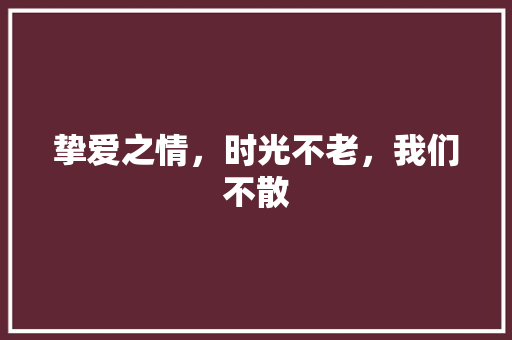 挚爱之情，时光不老，我们不散