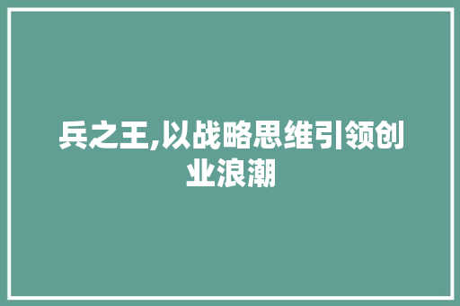 兵之王,以战略思维引领创业浪潮