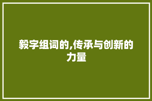 毅字组词的,传承与创新的力量