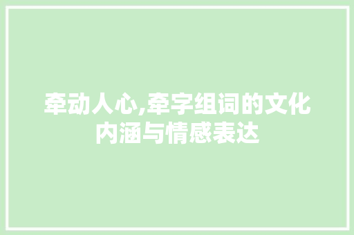 牵动人心,牵字组词的文化内涵与情感表达