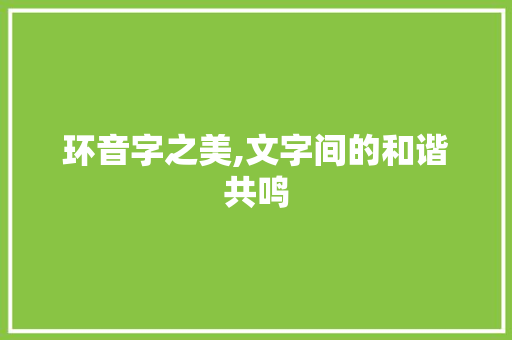 环音字之美,文字间的和谐共鸣